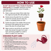 Scotts Osmocote® Rose, Gardenia, Azalea & Camellia Mix image 5