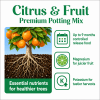 Scotts Osmocote® Citrus & Fruit Potting Mix image 3