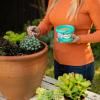 Scotts Osmocote® Controlled Release Fertiliser: Cacti & Succulent image 5