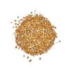 Scotts Osmocote Controlled Release Fertiliser for Indoor Plants image 3