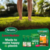 Scotts Lawn Builder Levelling Mix image 7