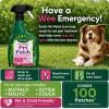Scotts Lawn Builder Pet Patch image 3