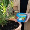 Scotts Osmocote® Controlled Release Fertiliser: All Purpose image 5