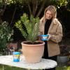Scotts Osmocote® Controlled Release Fertiliser: All Purpose image 5