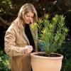 Scotts Osmocote® Controlled Release Fertiliser: All Purpose image 6