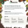 Baileys Premium Potting Mix image 9