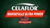 Celaflor Mausefalle Ultra Power.jpg
