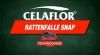 Celalfor Rattenfalle Snap.jpg