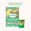 Scotts Osmocote® Controlled Release Fertiliser: Citrus & Fruit image 7