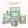 Scotts Osmocote Controlled Release Fertiliser for Indoor Plants image 7