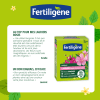 Fertiligène engrais lauriers roses, bougainvilliers granulés image 2