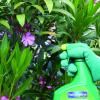 Fertiligène insecticide polyvalent prêt à l'emploi image 2