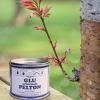 Pelton glu arboricole image 2