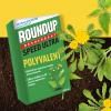 Roundup® désherbant jardin polyvalent action 2 en 1 image 2