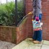 Patio Magic!® Ready To Use Spray image 2