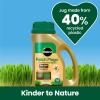 Miracle-Gro® Patch Magic® Dog Spot Repair image 5