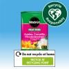 Miracle-Gro® Peat Free Premium Azalea, Camellia & Rhododendron Ericaceous Compost image 7