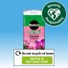 Miracle-Gro® Peat Free Premium Orchid Compost image 6