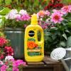 Miracle-Gro® Liquid Plant Food - All Purpose image 2
