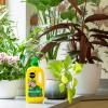 Miracle-Gro® Liquid Plant Food - Pour & Feed™ image 2