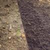 Levington® Composted Mulch image 2