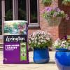 Levington® Peat Free Container & Basket Compost image 2