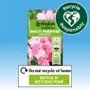 Levington® Essentials Peat Free Multi Purpose Compost image 4