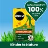 Miracle-Gro® Autumn Lawn Care image 3
