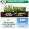 Scotts Lawn Builder™ All Purpose Slow Release Lawn Fertiliser image 2