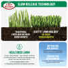 Scotts Lawn Builder™ All Purpose Slow Release Lawn Fertiliser image 6