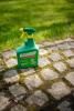 Roundup® AntyChwast Chodniki i Podjazdy image 2