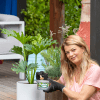 Scotts Osmocote Controlled Release Fertiliser for Indoor Plants image 6