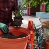 Baileys Native Premium Potting Mix image 3
