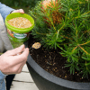 Scotts Osmocote® Controlled Release Fertiliser: Native image 5