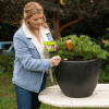 Scotts Osmocote® Controlled Release Fertiliser: Native image 6