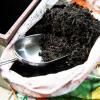 Scotts Osmocote® - Premium Potting Mix image 6