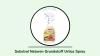 Substral Naturen Grundstoff Urtica Spray.jpg