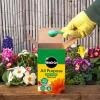 Miracle-Gro® All Purpose Soluble Plant Food image 2