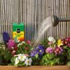 Miracle-Gro® All Purpose Soluble Plant Food image 4