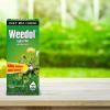 Weedol® Lawn Weedkiller (Liquid Concentrate) image 2