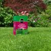 Miracle-Gro® EverGreen® Multi Purpose Lawn Seed image 2