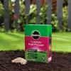 Miracle-Gro® EverGreen® Multi Purpose Lawn Seed image 3