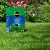 Miracle-Gro® EverGreen® Shady Lawn Seed image 2