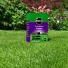 Miracle-Gro® EverGreen® Luxury Lawn Seed image 2