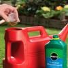 Miracle-Gro® EverGreen® Mosskill Liquid image 3