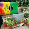 Miracle-Gro® Premium Peat Free All Purpose Compost image 2