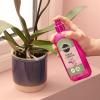 Miracle-Gro® Spray & Spritz image 2