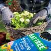 Miracle-Gro® Peat Free Premium Moisture Control Compost for Pots & Baskets image 3