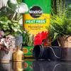 Miracle-Gro® Peat Free Premium Houseplant Potting Mix image 2