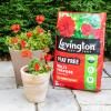 Levington® Peat Free Multi Purpose Compost with added John Innes image 2